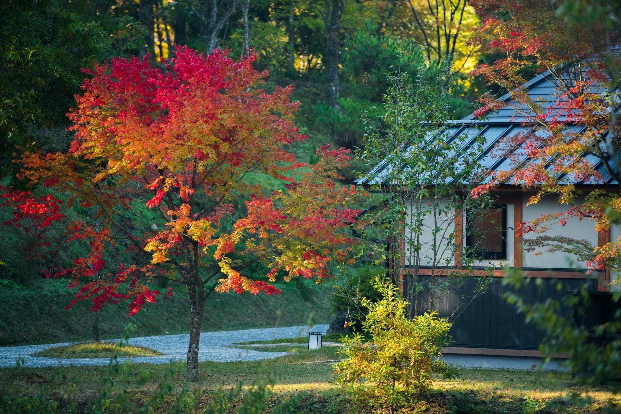 Отель Miyama Sansou Минамиогуни Экстерьер фото